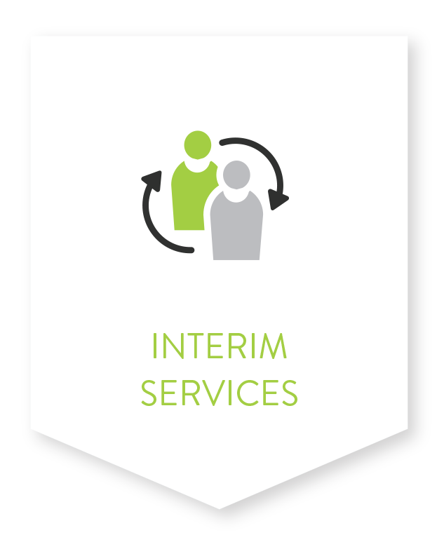 Interim services